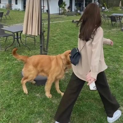 碧玉离魂